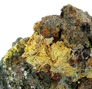 Pottsite-181323.jpg