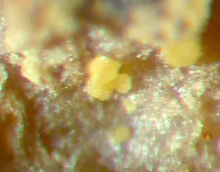 Poughite-119747.jpg