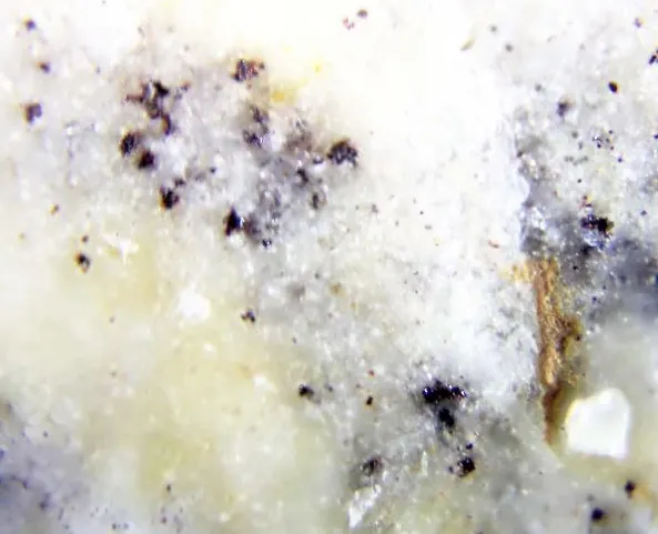 Poyarkovite.jpg
