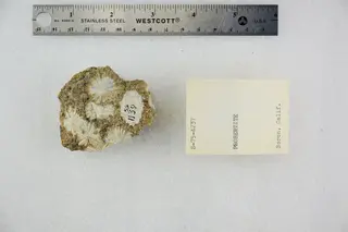 Probertite (48603454401).jpg
