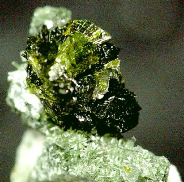 Pumpellyite-(Mg)-Quartz-21371.jpg