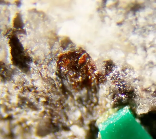 Pyrobelonite.jpg