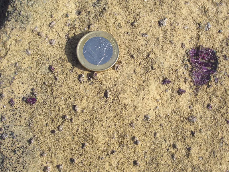 Peridotite with pyrope porphyroblasts.JPG