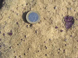 Peridotite with pyrope porphyroblasts.JPG