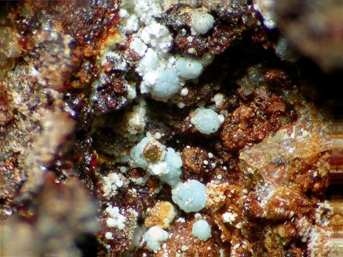 Arsenocrandallite