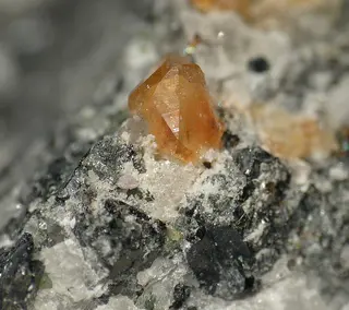 Quintinite-501988.jpg