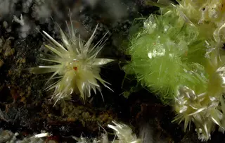 Rabbittite-Schröckingerite (Joy Desor).jpg