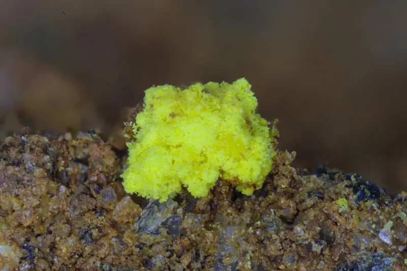 Rabejacite PlavnoCZ Hannut 1,5mm.jpg