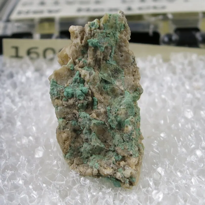 Rajite-615958.jpg