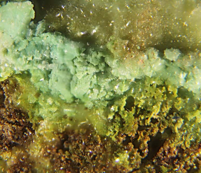 Arsenogorceixite
