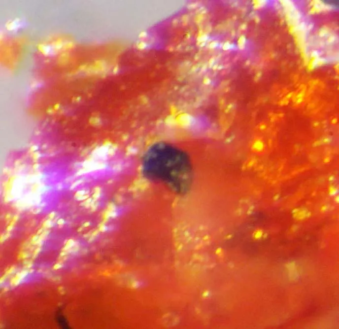 Stalderite & Ralphcannonite.jpg