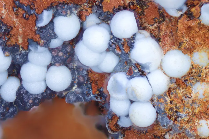 Arsenogoyazite Tomeik.jpg