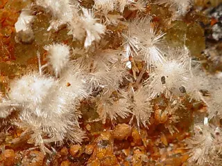 Rapidcreekite-Quartz-21685.jpg