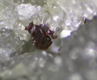 Rappoldite-779740.jpg