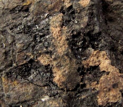 Rauvite