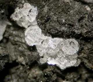 Ravatite-MA1296598364.jpg