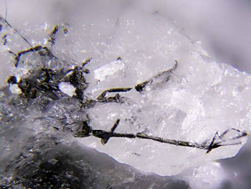 Arsenolamprite