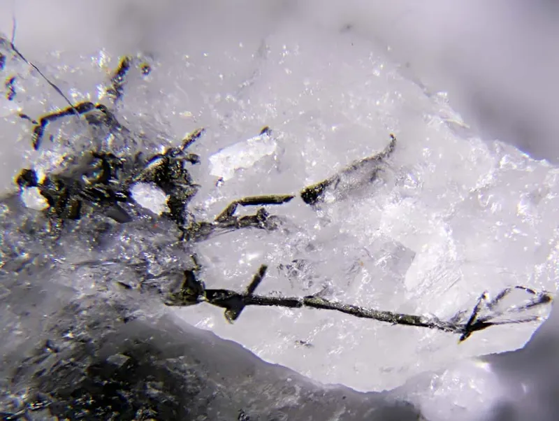 Arsenolamprite.jpg