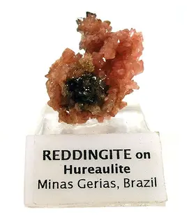 Reddingite-Hureaulite-52167.jpg