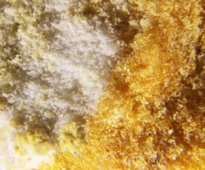 Redingtonite & Botryogen.jpg