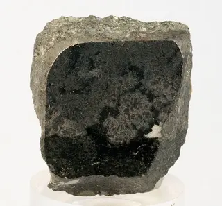 Renierite-237515.jpg