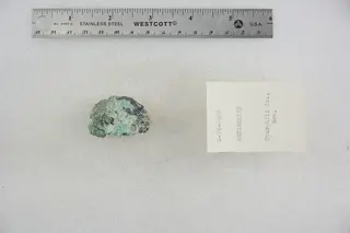 Retgersite (48140135041).jpg