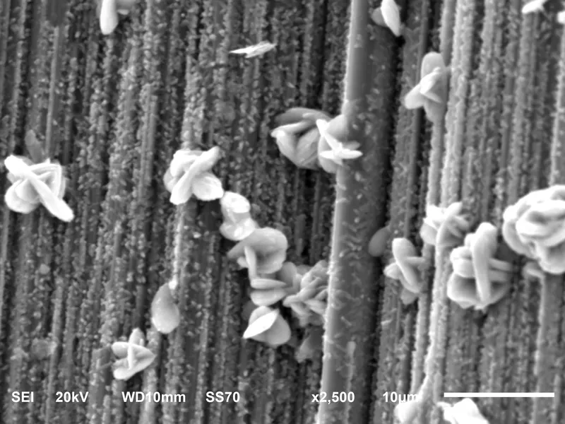 Rhabdophane-(La), Rutile-858524.jpg