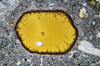 Biotit Rhönit LPL 1.jpg