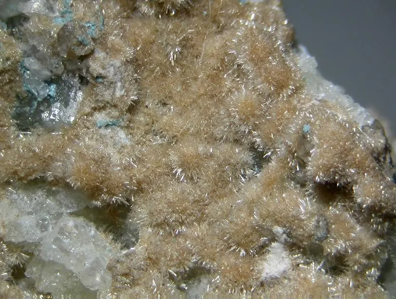 Rimkorolgite-111367.jpg