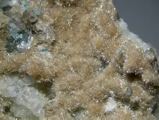 Rimkorolgite-111367.jpg