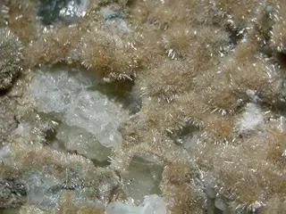 Rimkorolgite-111369.jpg