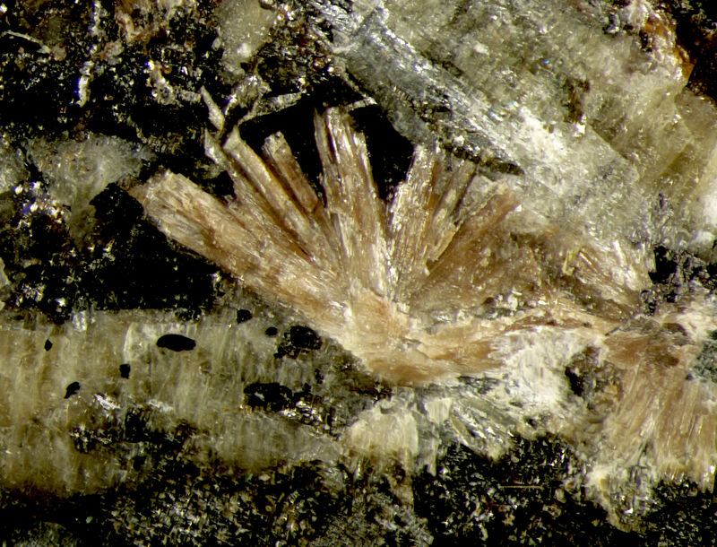 Rinkite-(Ce)