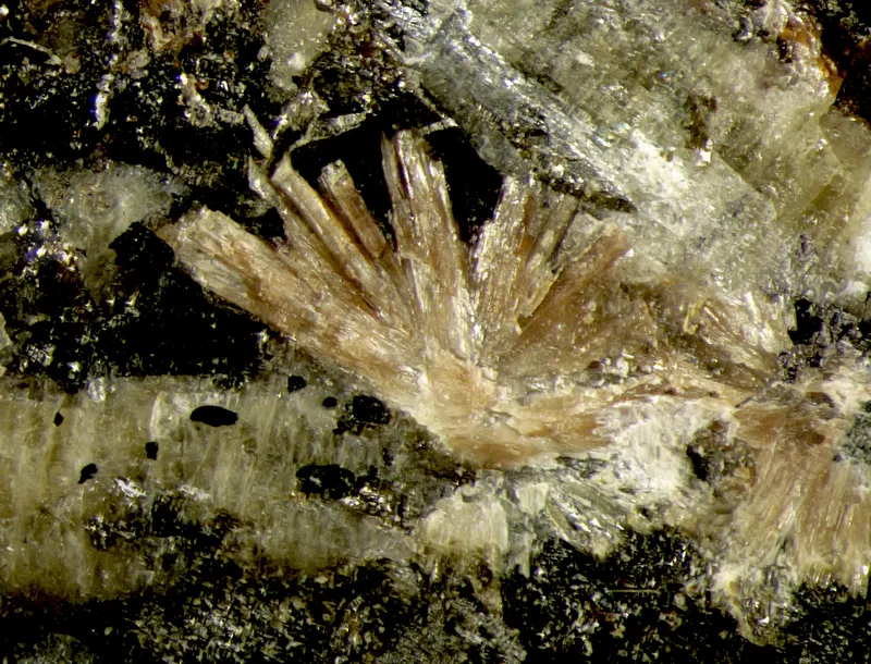 Rinkite-(Ce), Fluorapatite, Fluorite-574772.jpg