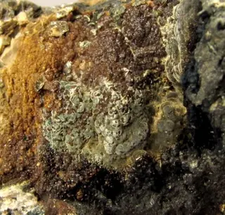 Whitmoreite, Beraunite, Rockbridgeite-386706.jpg
