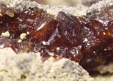 Romerite-21376.jpg