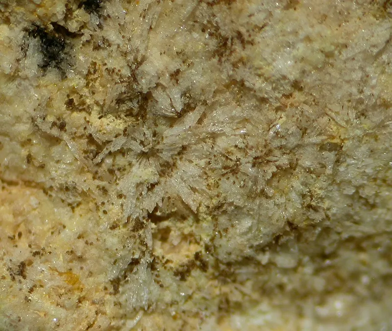 Rongibbsite-466387.jpg