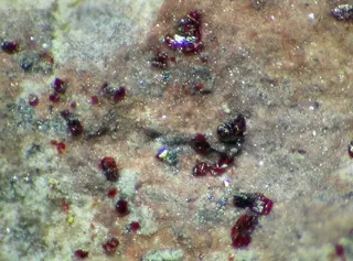 Ronneburgite-144919.jpg