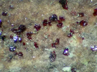 Ronneburgite-144920.jpg
