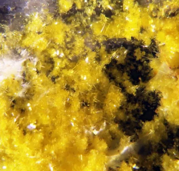Arsenuranylite.jpg