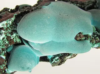 Rosasite-rosa03d.jpg