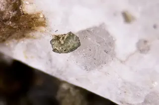 Roscherite.jpg