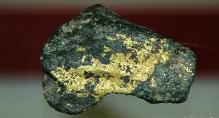 Gold & roscoelite (Stuckslacker Mine, Coloma, California, USA).jpg