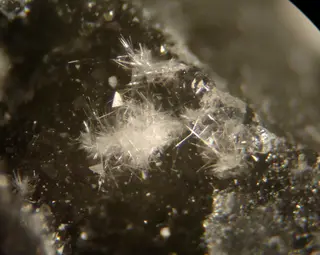 Rosenbergite-490516.jpg
