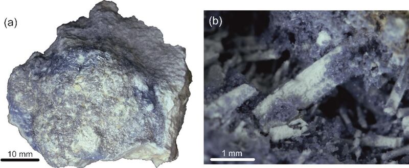 Rotemite