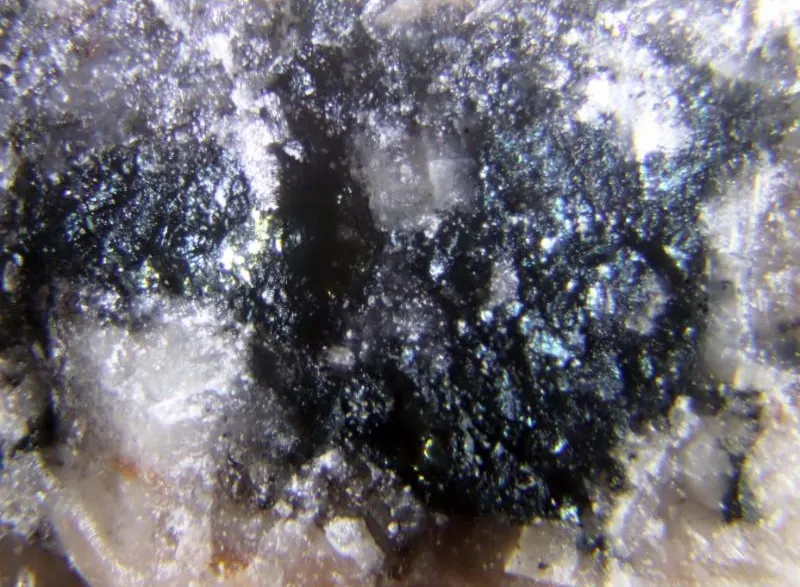 Sabatierite & Berzelianite.jpg