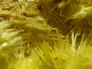 Makro Sabugalite.jpg