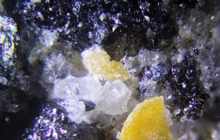 Sahlinite