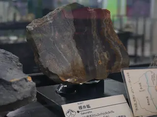 Sakuraiite displayed at Mining Museum of Akita University.jpg