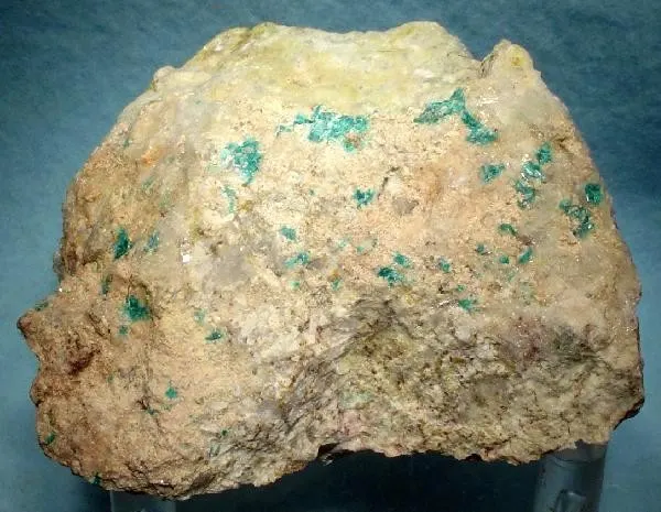 Salesite-118013.jpg