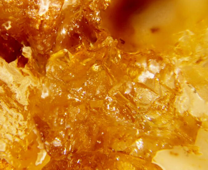Saltonseaite